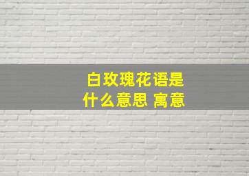 白玫瑰花语是什么意思 寓意